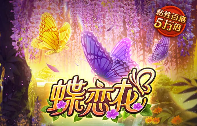 大红鹰dhy6563